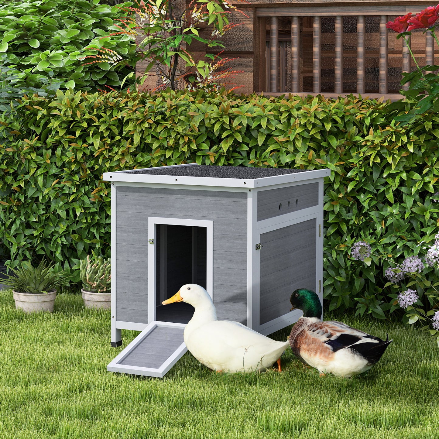 Wooden Duck House with Ramp, Double Doors, Openable Asphalt Roof, Ventilation Holes, Removable Base, Light Grey