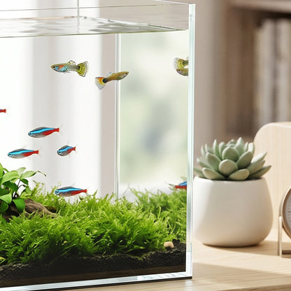 Fish Tank Bare Glass for DIY Glass Aquarium with Protective Base Mat 43L Transparent for Fish Shrimps