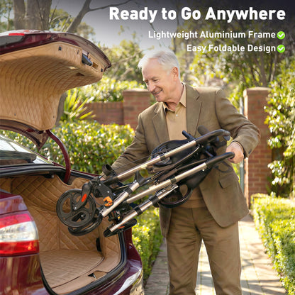 Rollator Walker with Seat with Carry Bag, Adjustable Height, Cane Holder for Seniors and Disabled, Gold Tone