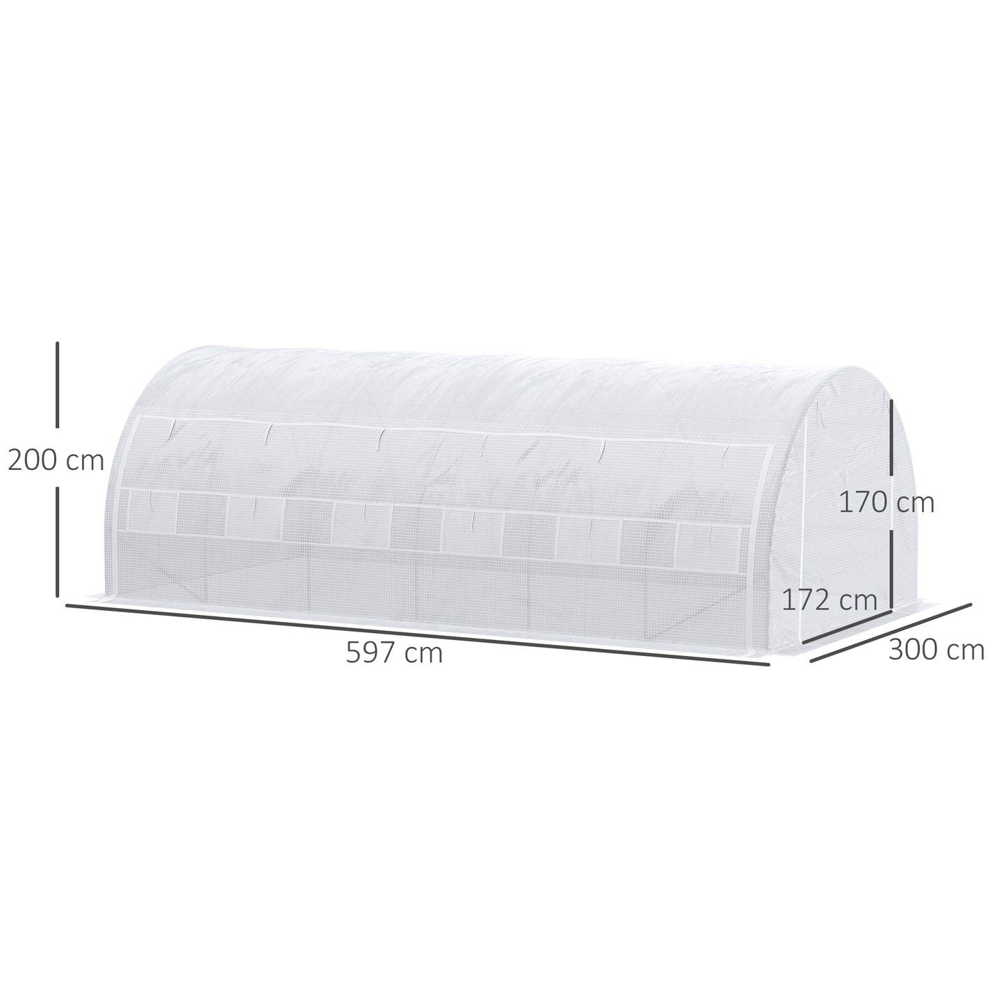 6 x 3 x 2 m Polytunnel Greenhouse with Roll-up Side Walls, Walk-in Grow House Tent with Steel Frame, Reinforced Cover