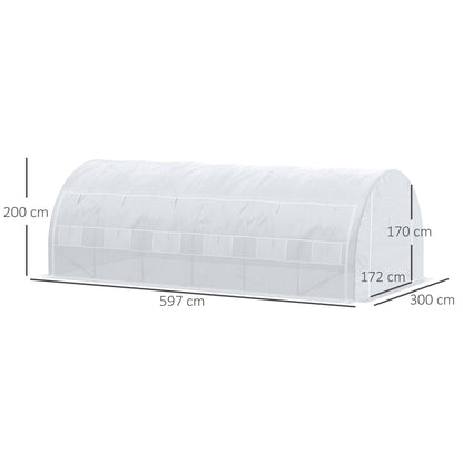 6 x 3 x 2 m Polytunnel Greenhouse with Roll-up Side Walls, Walk-in Grow House Tent with Steel Frame, Reinforced Cover