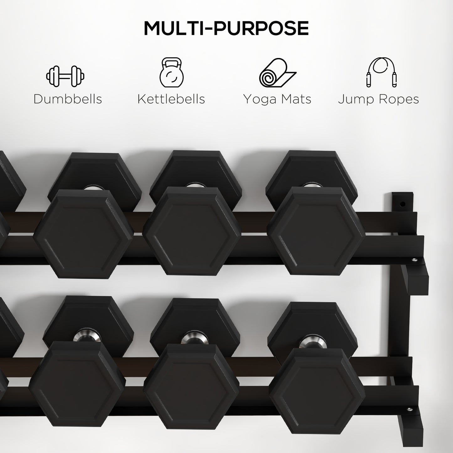 Wall-Mounted Dumbbell Rack, 2-Tier Weight Stand, Space-Saving and Multi-Functional Steel organiser for Home Gym, Black