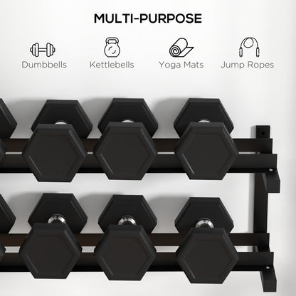 Wall-Mounted Dumbbell Rack, 2-Tier Weight Stand, Space-Saving and Multi-Functional Steel organiser for Home Gym, Black