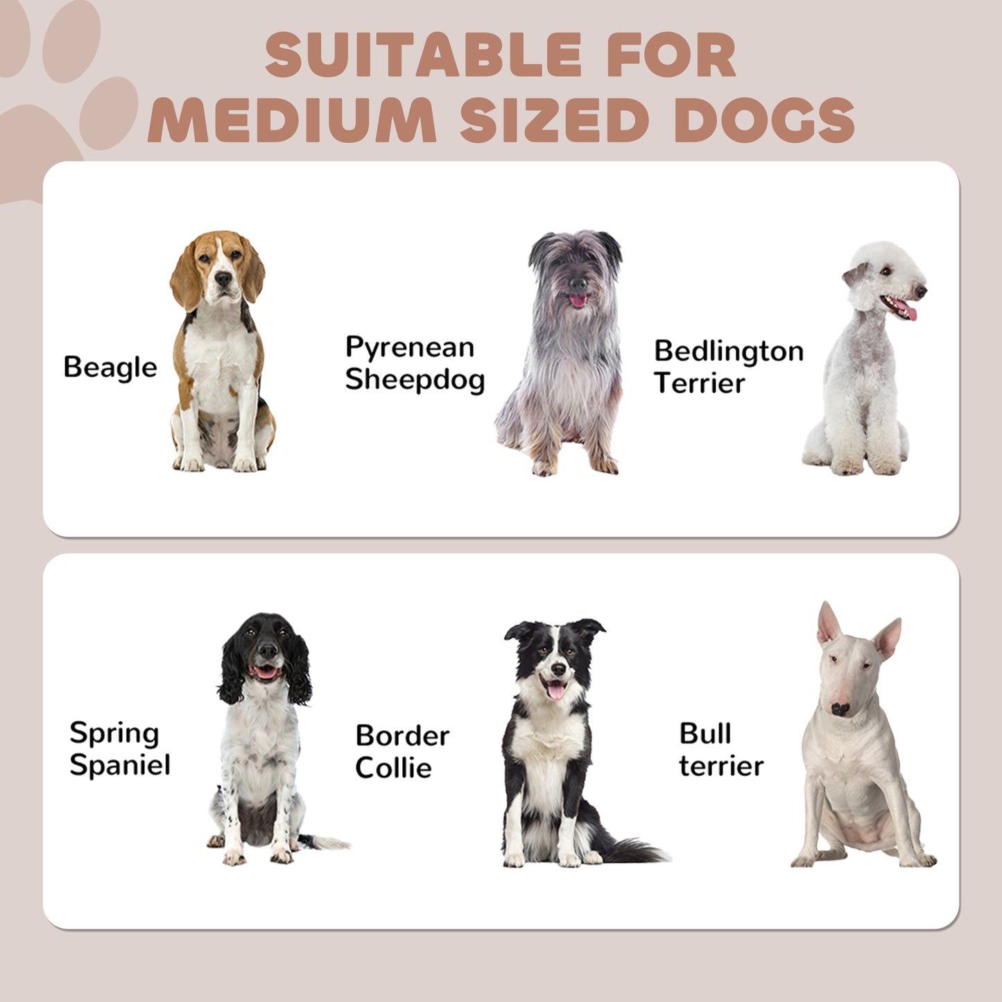 Pet Feeding Station with Raised Dog Bowls, Adjustable Panel, Hooks, Black
