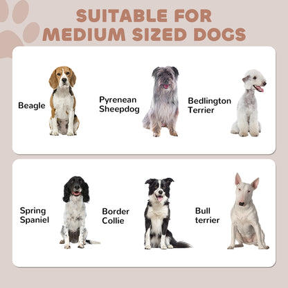 Pet Feeding Station with Raised Dog Bowls, Adjustable Panel, Hooks, Black