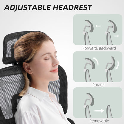 Multi-Adjustable Mesh Office Chair - Black