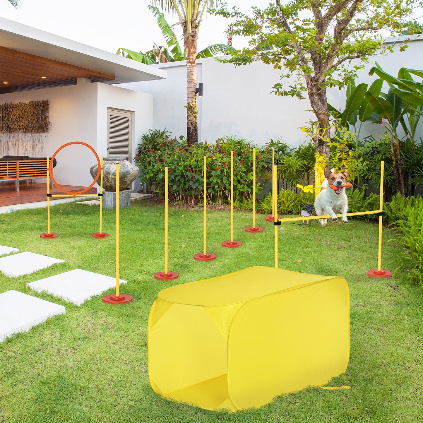 Dog Agility Equipment Portable Pet Training Obstacle Set for Dogs 5 Pieces w/ Adjustable High Jumping Pole, Jumping Ring