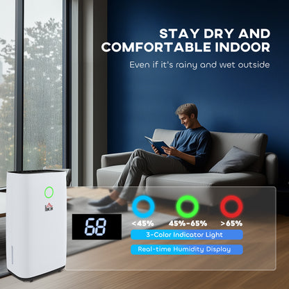 20L/Day Portable Dehumidifier for Home, with LED Screen, Sleep Mode, 24H Timer, 4L Water Tank