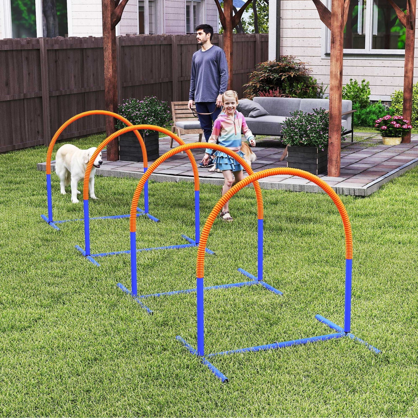 Four-Piece Portable Dog Agility Equipment - Blue