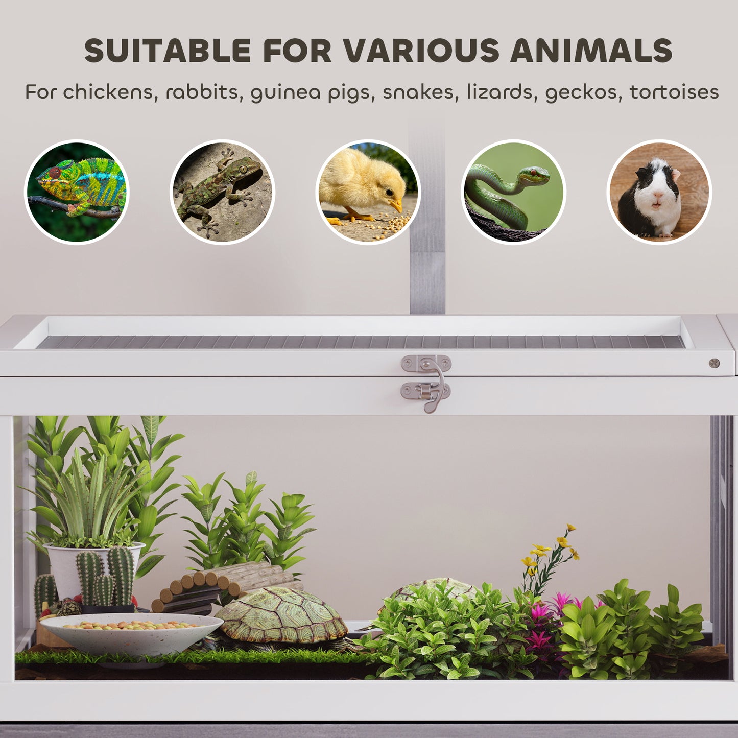 Wooden Tortoise House with Dual-Zone Habitat, Clear Panels, Openable Top, Metal Mesh, for Tortoises and Small Pets, Grey
