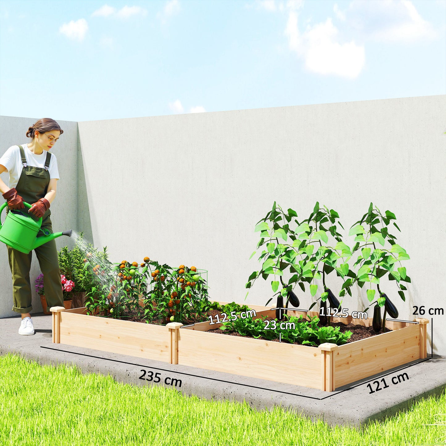 Raised Garden Bed, Wooden Planter Box with Divider and Open Bottom for Flowers, Herbs, Vegetables, DIY Painting