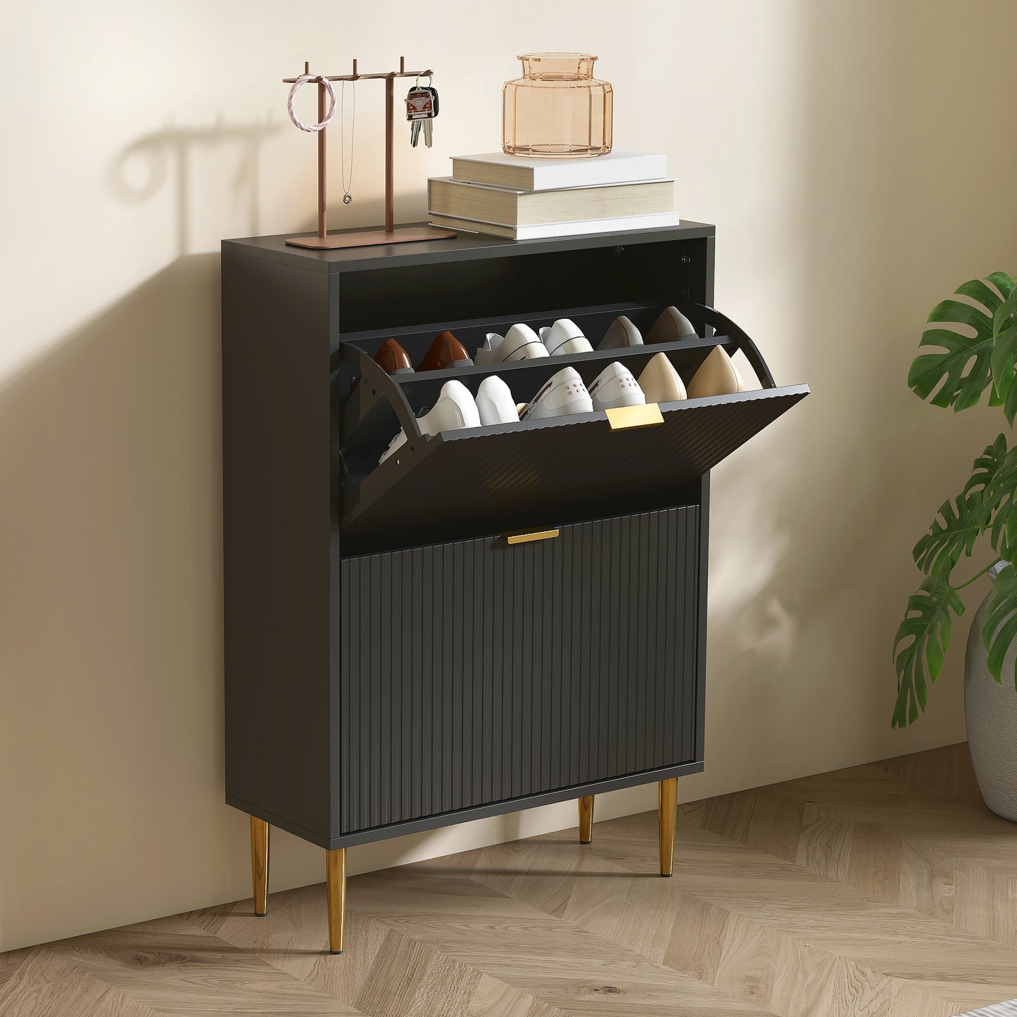 Elegant Two-Drawer Shoe Cabinet - Black