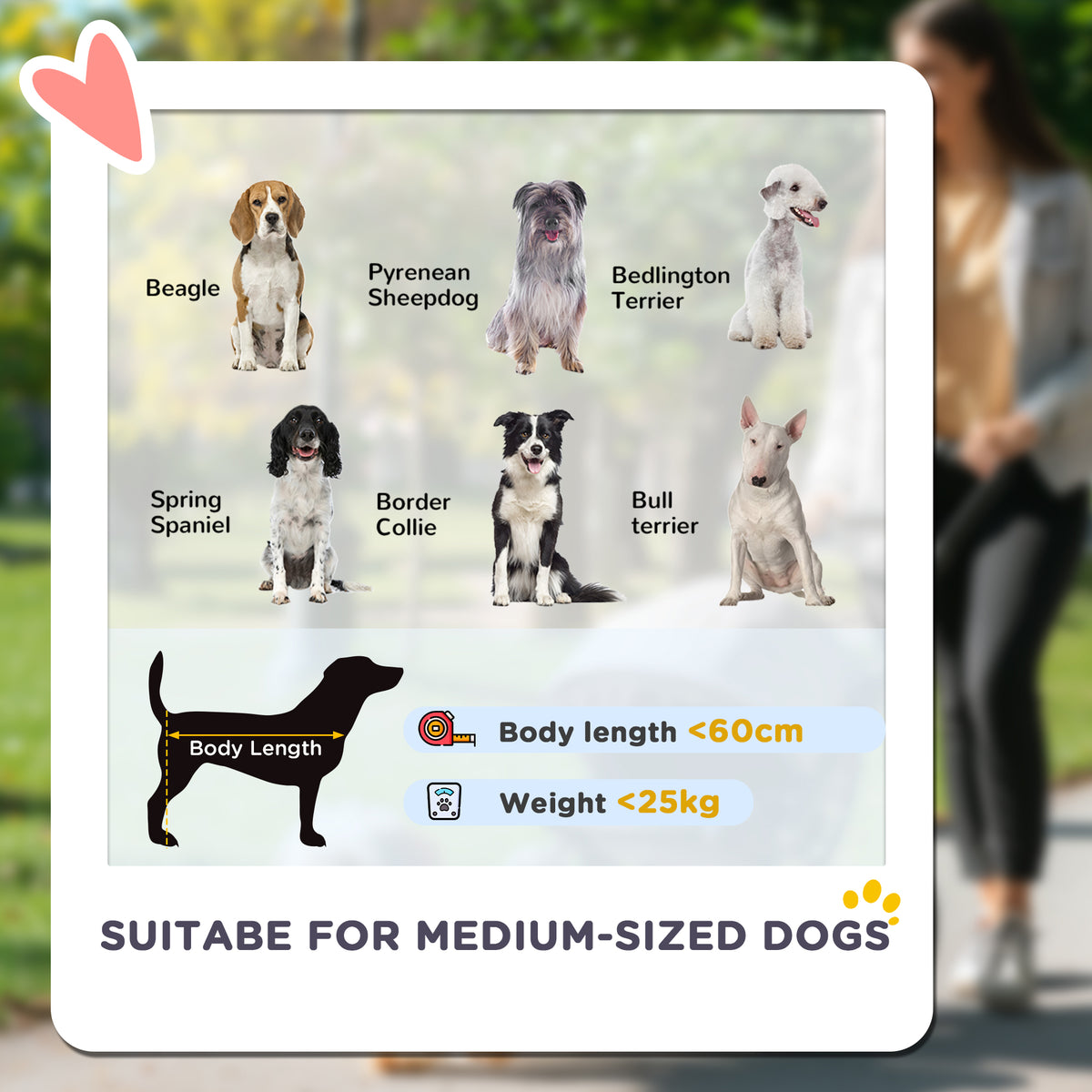 Foldable Pet Stroller for Medium Dogs with Four Big Wheels, Shock-Absorbing Frame, Safety Leashes, Brakes, Dark Green