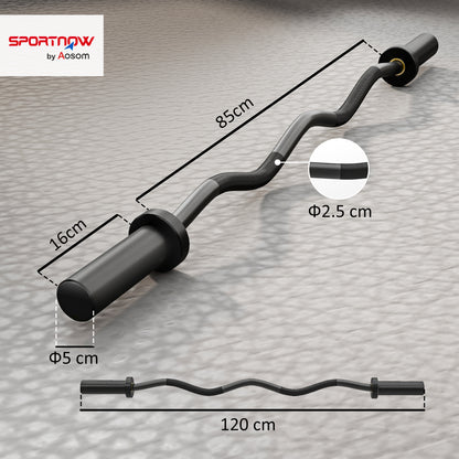 4ft Olympic EZ Curl Bar, Barbell Bar for 2" Weight Plates with Non-Slip Hand Grip 120cm