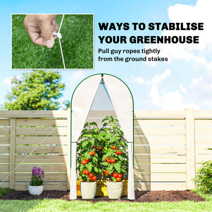 Mini Greenhouse, Portable Green House with Roll-Up Door, PE Base, Small Greenhouse, 100 x 100 x 195 cm, White