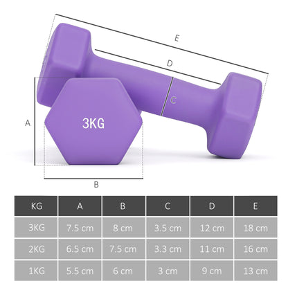 Dumbbells Set with Storage Rack, 2 x 1kg, 2 x 2kg, 2 x 3kg, Pink