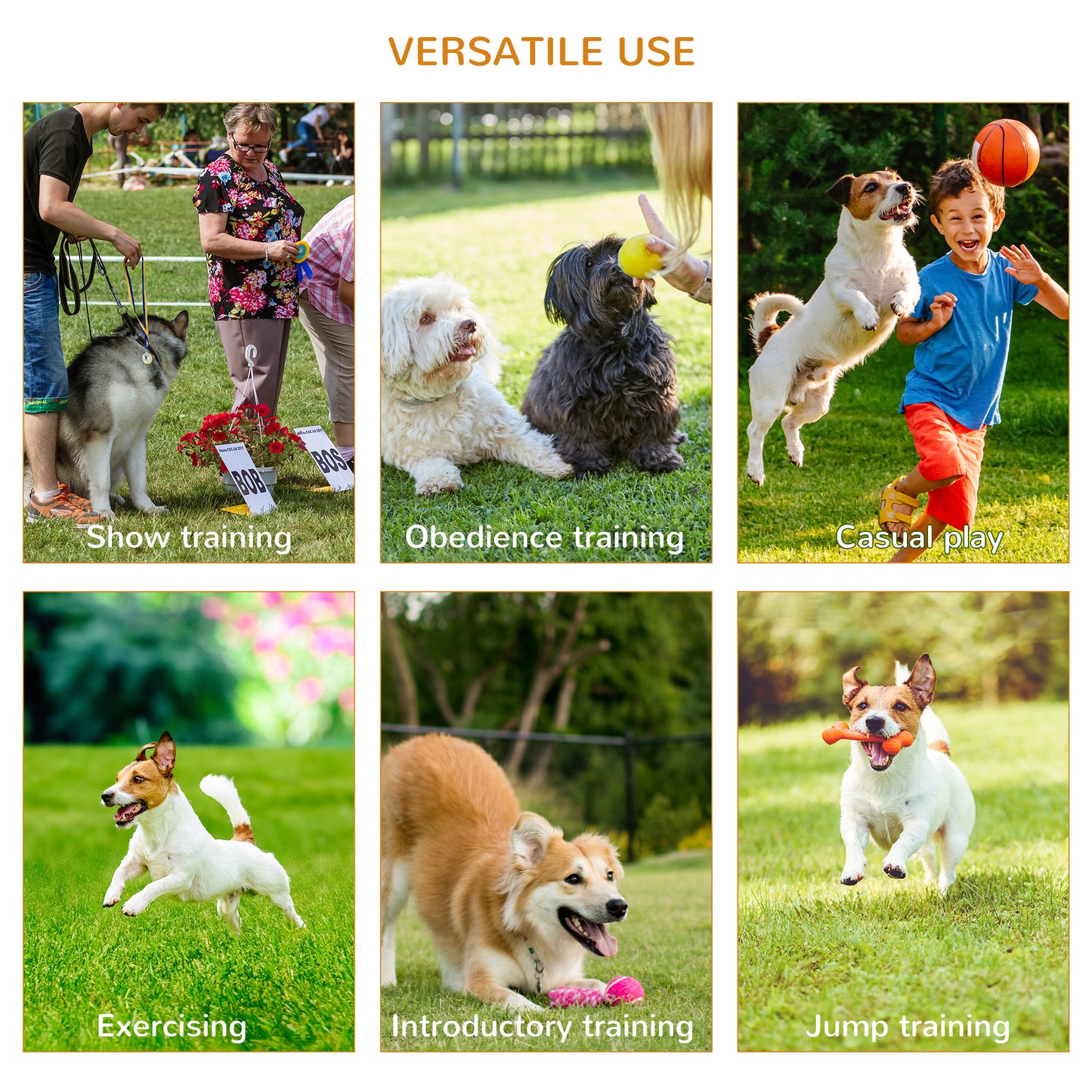 Dog Agility Equipment Portable Pet Training Obstacle Set for Dogs 5 Pieces w/ Adjustable High Jumping Pole, Jumping Ring
