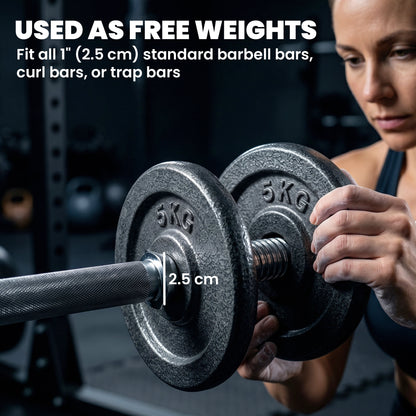 Weight Plates Set, 1"/2.5cm Weight Disc Pair, 4 x 5kg Metal Dumbbell/Barbell Plates for Home Gym