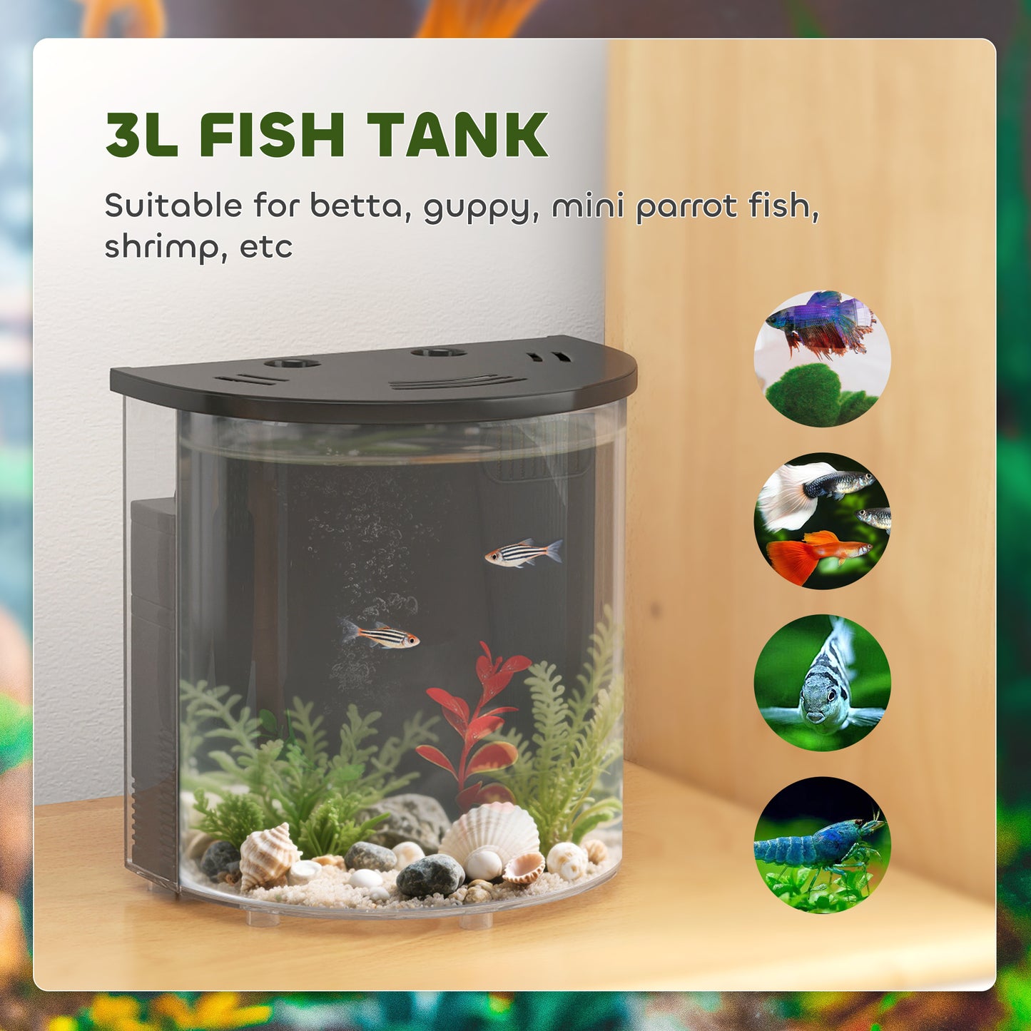 3L Small Fish Tank with Filter System, LED Light, Small Fish Tank for Betta, Shrimp, Black