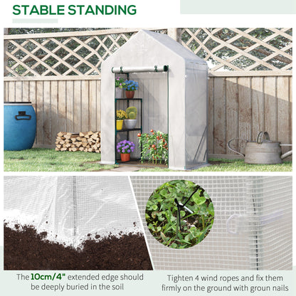Walk In Greenhouse with 2 Tier Shelf, Portable Gardening Plant Grow House Tomato Greenhouse with Roll up Zip Panel Door