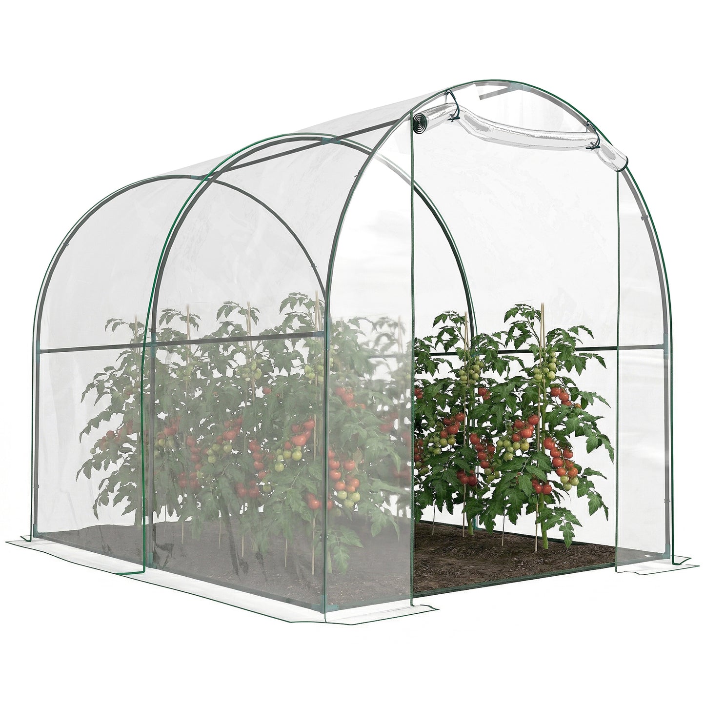 Walk-in Polytunnel Greenhouse with Roll-up Door Transparent Tunnel Greenhouse with Steel Frame and PVC Cover, 2.5 x 2m