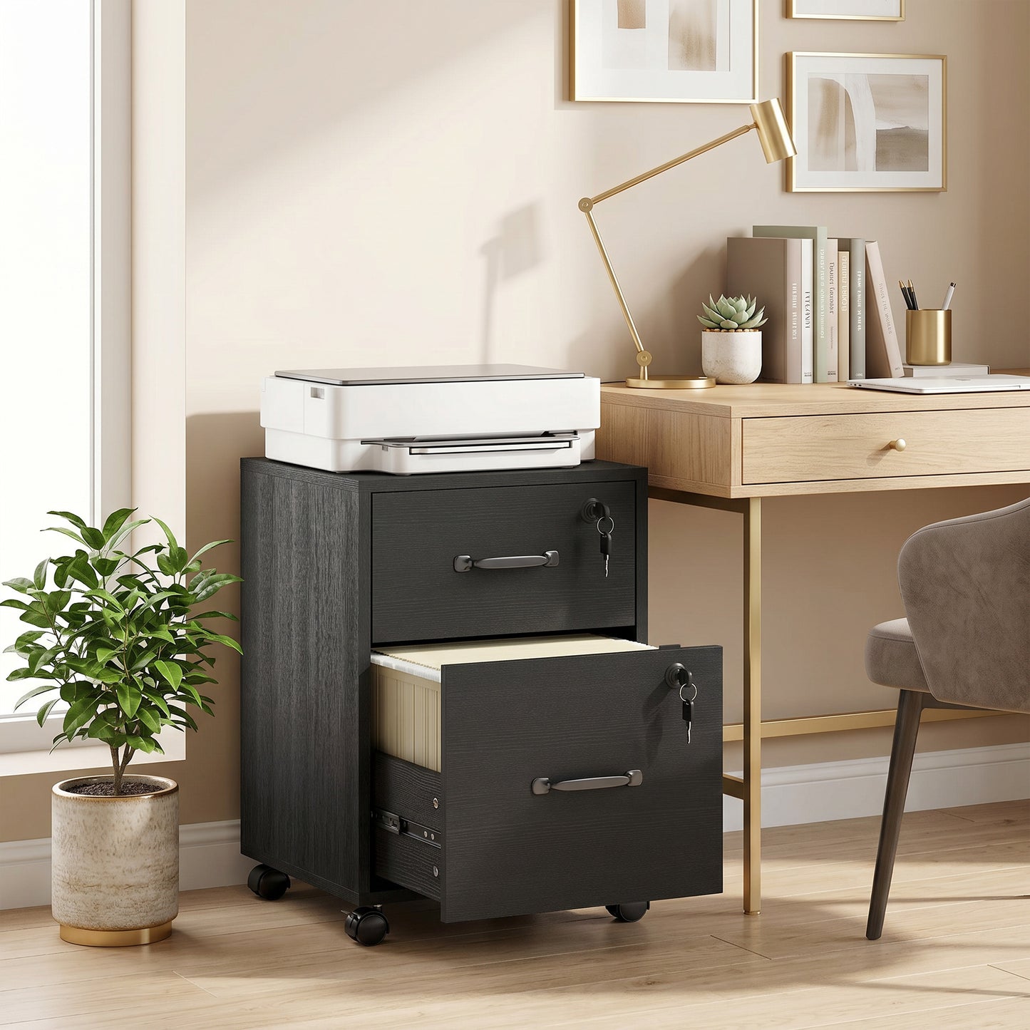 Rolling File Cabinet with 2 Drawers, Mobile Filing Cabinet with Hanging File Folder for Letter Sized Documents, Black