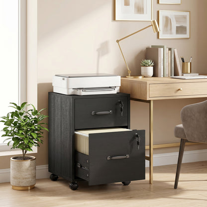 Rolling File Cabinet with 2 Drawers, Mobile Filing Cabinet with Hanging File Folder for Letter Sized Documents, Black