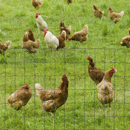 0.6M x 10M Chicken Wire Mesh Roll Rabbit Poultry Animal Fence PVC Coated Steel Metal Garden Netting Fencing