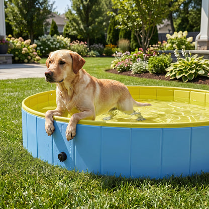 Foldable Dog Pool for Puppies and Ducks Dog Paddling Pool Bath Tub, Blue, 160 x 30cm