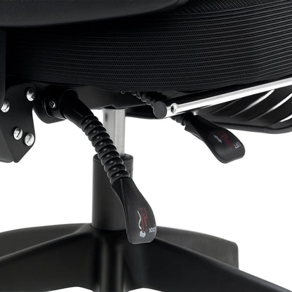 Ergonomic Office Chair, Mesh High Back Desk Chair with Adjustable Lumbar Support and Headrest, Footrest