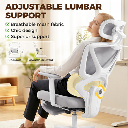 Ergonomic and Adjustable Office Chair - Grey
